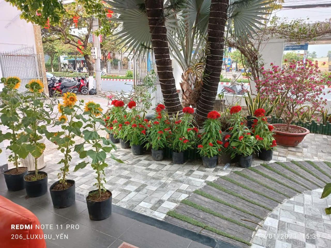 Mekong Hotel & Restaurant Ben Tre Buitenkant foto